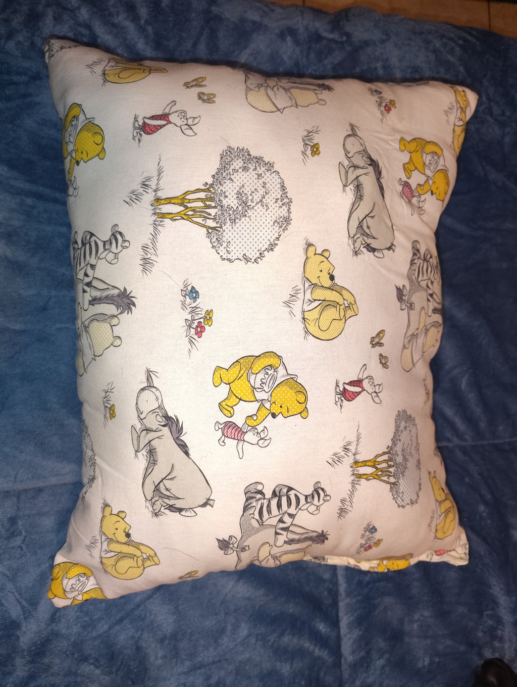 Winnie the Pooh throw cushions