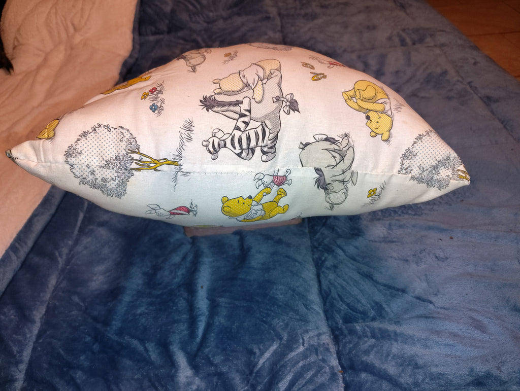 Winnie the Pooh throw cushions